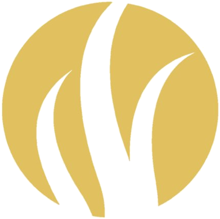 Hair Restoration Institute of Minnesota